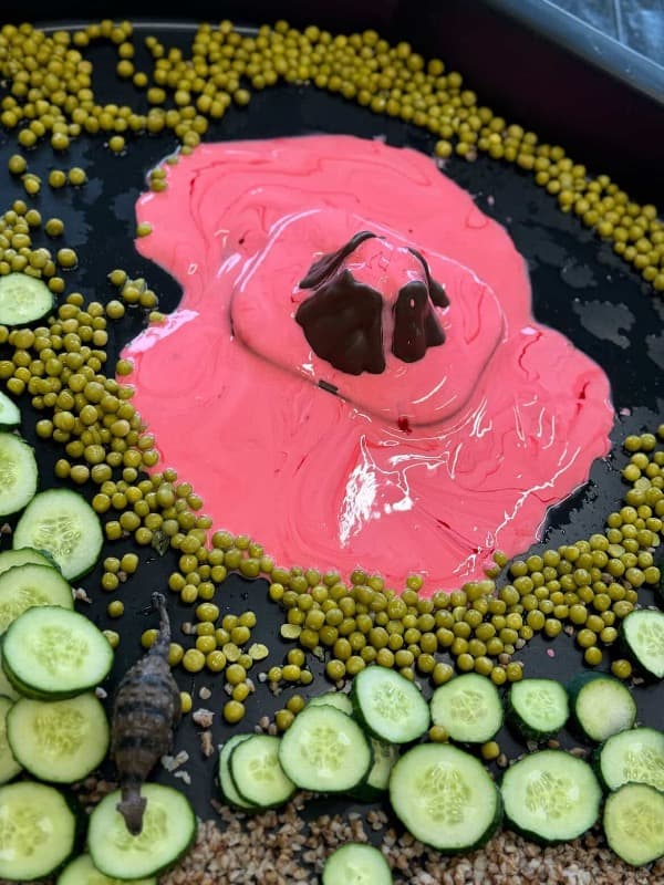Zdjęcie 4