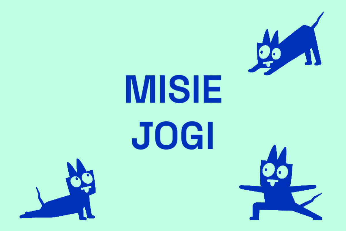 Zdjęcie 1
