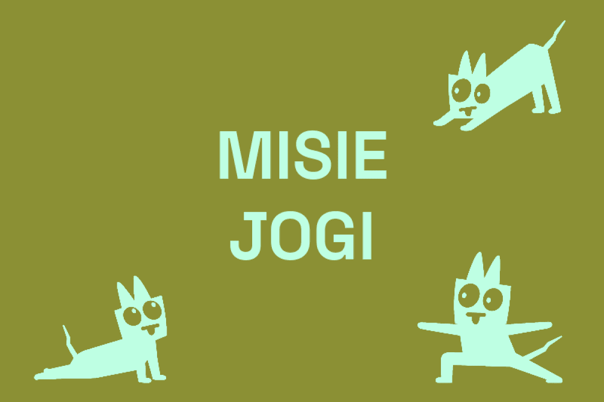 Zdjęcie 1