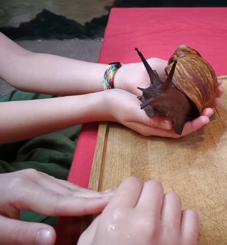 Zdjęcie 4