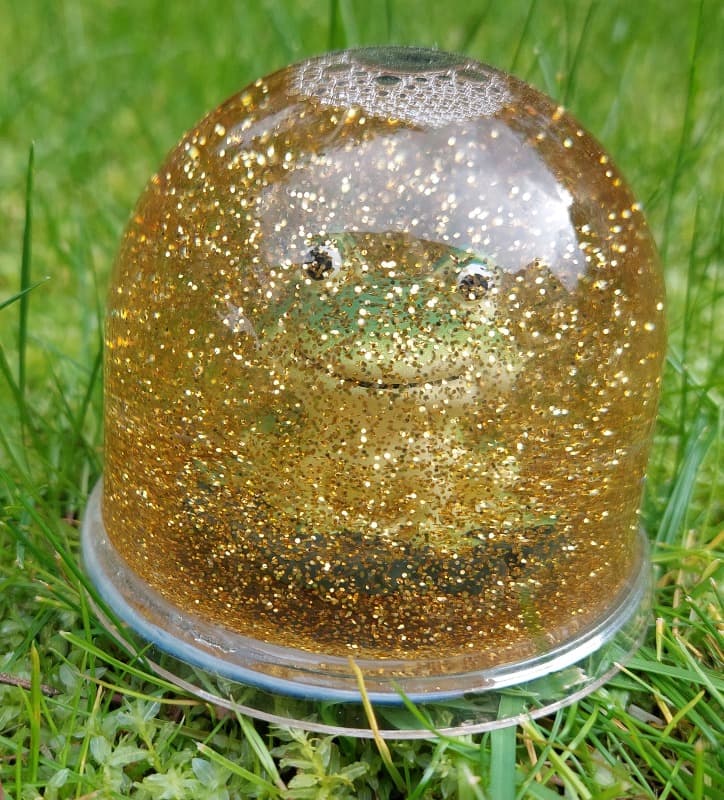 Zdjęcie 2
